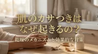 肌のカサつきはなぜ起きるの?